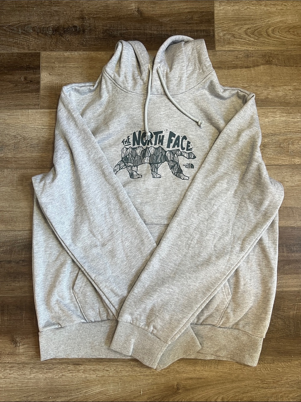 The North Face Men’s Evolution Bear Hoodie
